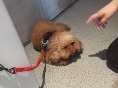 -E+有冰工厂·昆仑寒宫2(五角场店)