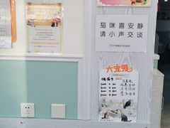 -纳吉亚猫专科动物医院·北北分院