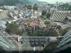 -广州动物园