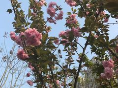 -重庆彩云湖湿地公园