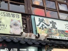 -鱼食饭稻·苏浙土菜17年老馆子(平江路店)