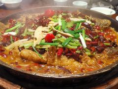 -老板恋上鱼(荣盛广场店)