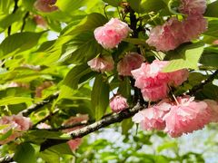 -周口店北京人遗址公园