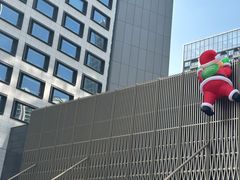 -彩丰楼中餐厅(深圳国际会展中心洲际酒店)