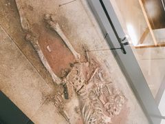 -丹麦国家博物馆