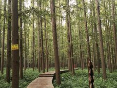 -上海怡沁园度假酒店