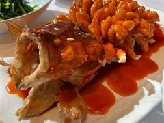 -洋洋中餐馆·SINCE 1997(信投店)