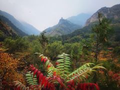 -云岫谷自然风景区