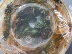-秦云老太婆摊摊面(蓝光锦绣店)