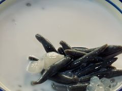 椰汁鸡屎藤-文昌邓记清补凉(西沙路店)