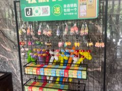 -椿记烧鹅(叠彩店)