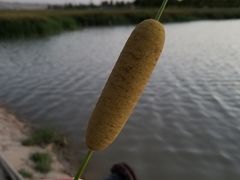 -党河风情线国家水利风景区