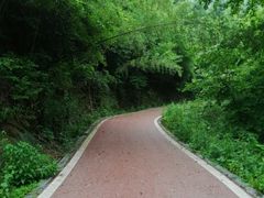 -敬亭山风景名胜区