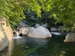 -崂山水果园农家宴(泉水鸡店)