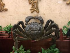 -王宝和酒家(黄浦店)