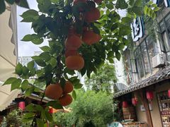 -田园印象·成都土菜院子(华阳店)