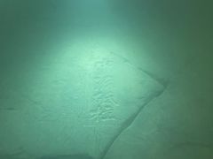 -白鹤梁水下博物馆