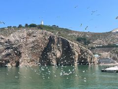 -海驴岛(荣成市)