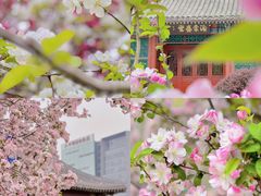 -海棠花溪(元大都城垣遗址公园)