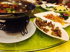 -丁老爷子苏香圆