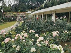 -人民公园(罗湖区)