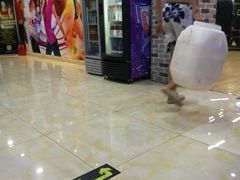 -波士顿游泳健身会所(定福庄店)