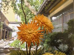 -鲤院·新中式美学·庭院餐厅(夫子庙店)