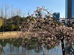 -白塘生态植物园