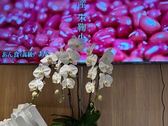 -银座仁志川·生吐司专门店(香港广场店)