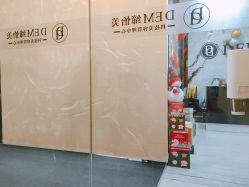 -DEM缔怡美科技美容