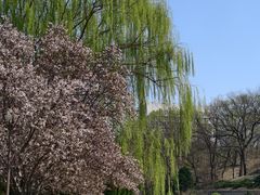-元大都城垣遗址公园