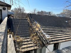 -自如ZSPACE四合院艺术餐厅