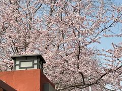 -北京丽景湾国际酒店