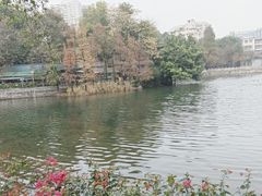 -荔湾湖公园