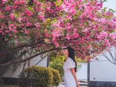 -洛阳市隋唐城遗址植物园