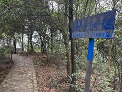 -东莞市大岭山森林公园