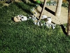 -5号KTV音乐广场(天通苑店)