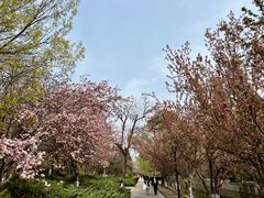 -元大都城垣遗址公园