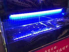 -江南鱼捞(北仑银泰城店)