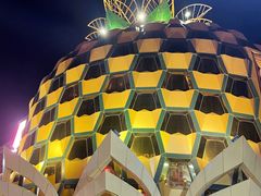 景观位-墨脱石锅椰子鸡•香草鸭•东山羊(大东海店)