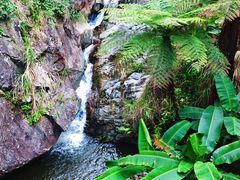 -象头山国家级自然保护区