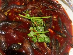 -阿巧一号私房菜(止园路店)