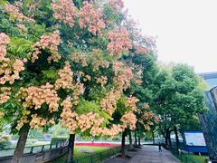 -西湖文化广场