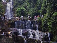 -鼎湖山风景区