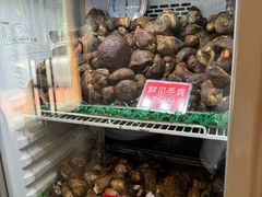 -太婆天府山珍酒楼(亚运村店)