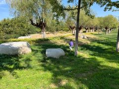 -汉长安城未央宫国家考古遗址公园