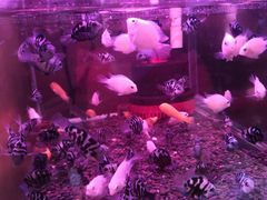 -鸿通城购物中心