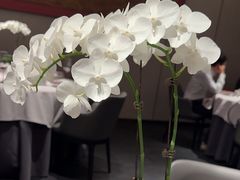 -蘇锦宴·淮扬菜烤鸭·小院(三元桥霄云路店)