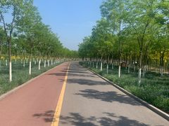 -天津东丽湖风景区