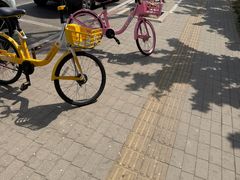 -羲和雅苑•北京烤鸭(乐园道万象城店)